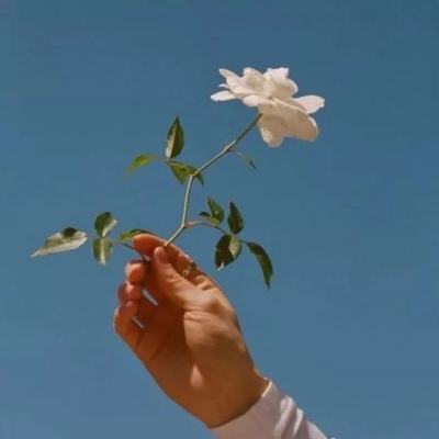 爱奇艺梦幻西游手游下载